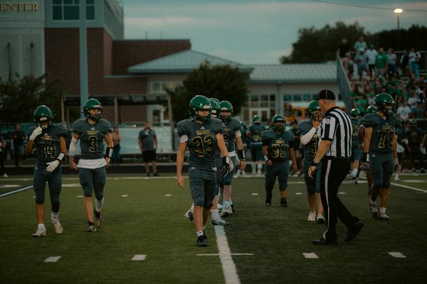 Wie kann man die Vielfalt von Pilzen in Gerichten einsetzen?